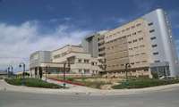 Successful Open Heart Surgery for an International Patient in Bojnord Marks a Milestone in Health Tourism